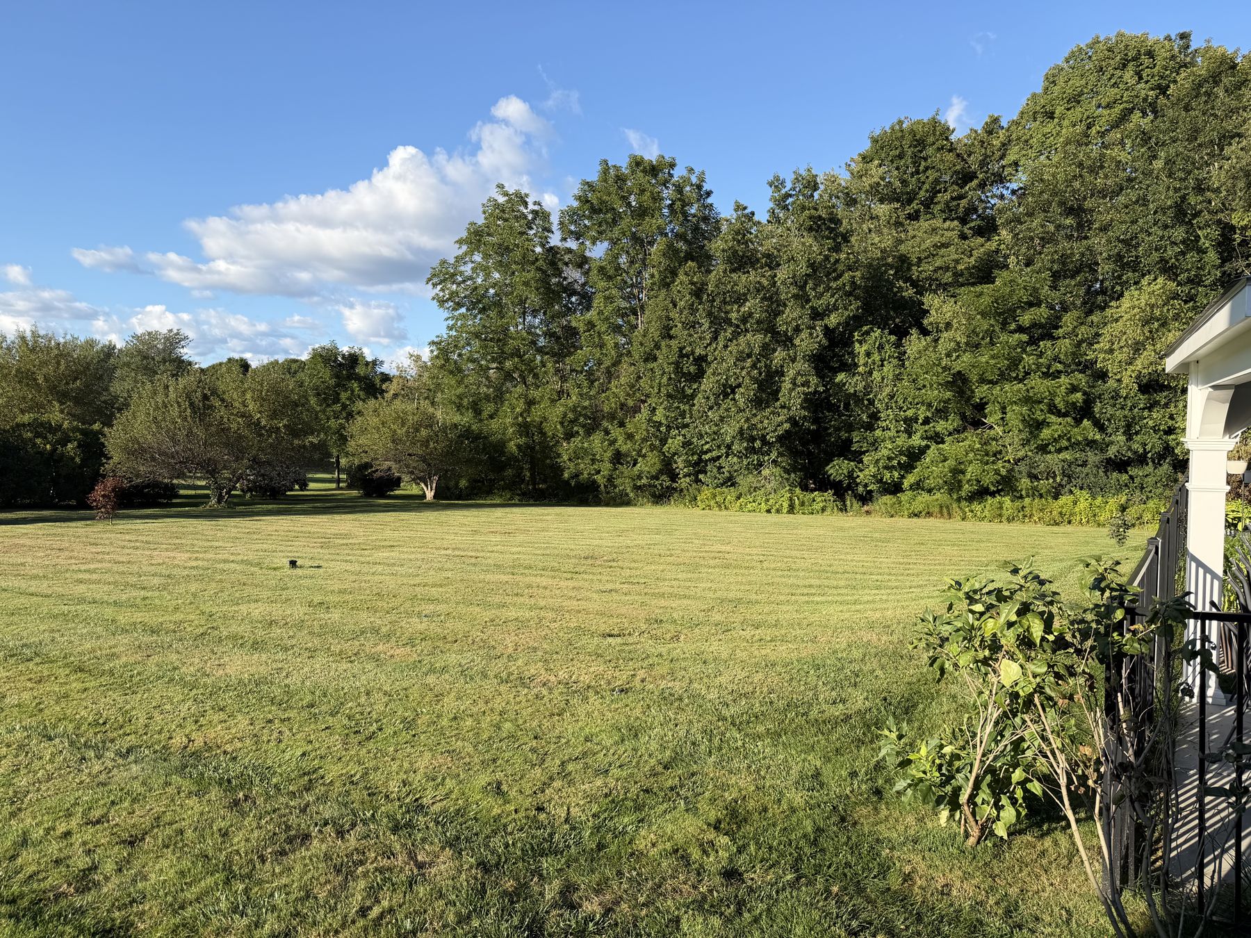The grounds